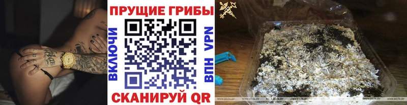 Псилоцибиновые грибы MAGIC MUSHROOMS  Купить  Сорск 