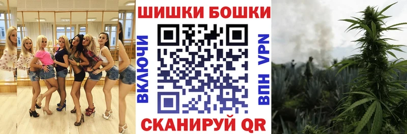 Бошки марихуана сатива  Купить где  Сорск 